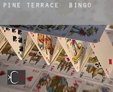 Pine Terrace Bingo