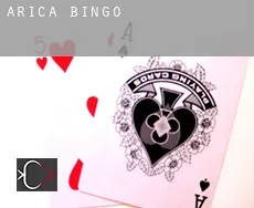 Arica  Bingo
