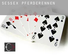 Sessex Pferderennen