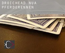 Droichead Nua  Pferderennen