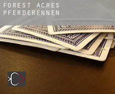 Forest Acres  Pferderennen