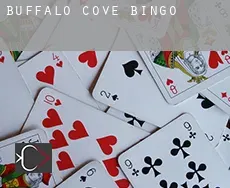 Buffalo Cove Bingo