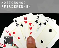 Motzorongo Pferderennen