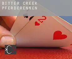 Bitter Creek  Pferderennen
