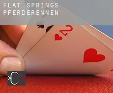 Flat Springs Pferderennen