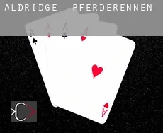Aldridge Pferderennen