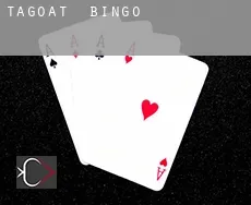 Tagoat Bingo