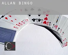 Allan  Bingo