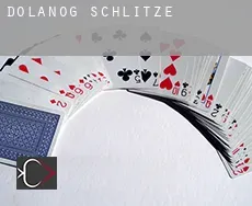 Dolanog Schlitze
