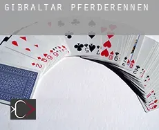 Gibraltar Pferderennen