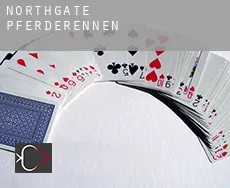 Northgate  Pferderennen