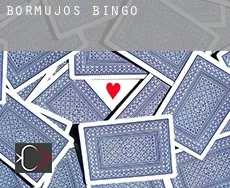 Bormujos Bingo