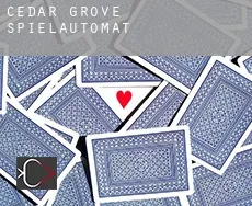 Cedar Grove Spielautomat
