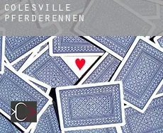 Colesville Pferderennen