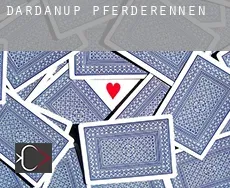 Dardanup  Pferderennen