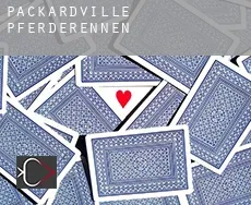 Packardville Pferderennen