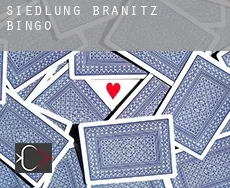Siedlung Branitz Bingo