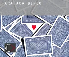 Tarapacá Bingo