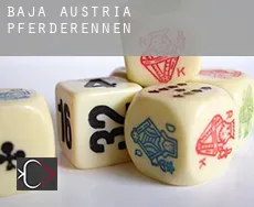 Niederösterreich  Pferderennen