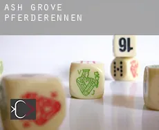 Ash Grove  Pferderennen