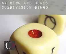 Andrews and Hurds Subdivision Bingo