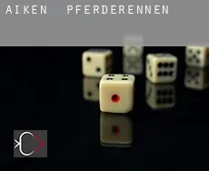 Aiken Pferderennen