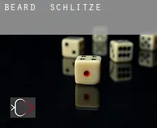 Beard Schlitze