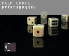 Palm Grove Pferderennen