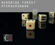 Woodbine Forest Pferderennen