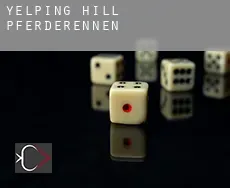 Yelping Hill Pferderennen