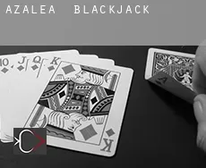 Azalea Blackjack