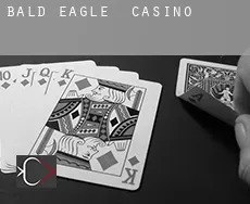 Bald Eagle Casino