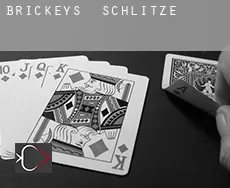 Brickeys Schlitze
