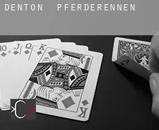 Denton Pferderennen