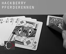 Hackberry Pferderennen