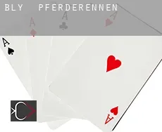 Bly Pferderennen