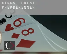 Kings Forest Pferderennen