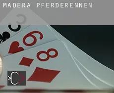 Madera Pferderennen