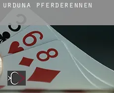 Urduña / Orduña Pferderennen