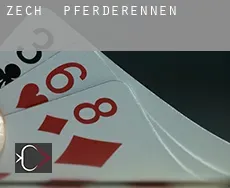 Zech Pferderennen