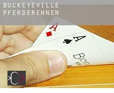 Buckeyeville Pferderennen