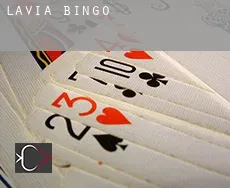 Lavia Bingo