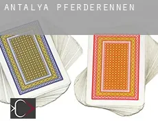 Antalya  Pferderennen