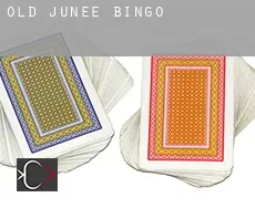 Old Junee Bingo