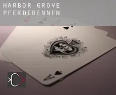 Harbor Grove Pferderennen