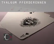 Tyalgum Pferderennen