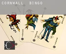 Cornwall Bingo