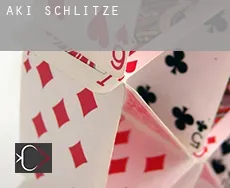 Aki  Schlitze