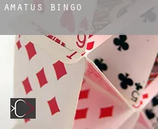 Amatus  Bingo