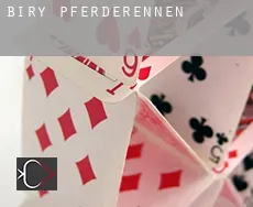 Biry Pferderennen